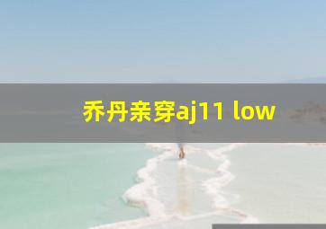 乔丹亲穿aj11 low